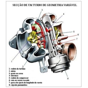 Turbina – Corte
